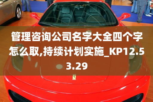 管理咨询公司名字大全四个字怎么取,持续计划实施_KP12.53.29