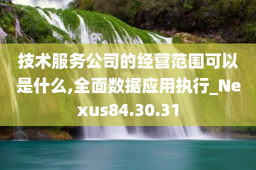 技术服务公司的经营范围可以是什么,全面数据应用执行_Nexus84.30.31