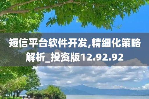 短信平台软件开发,精细化策略解析_投资版12.92.92