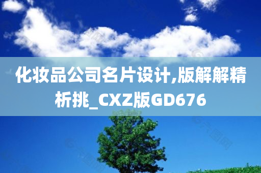 化妆品公司名片设计,版解解精析挑_CXZ版GD676