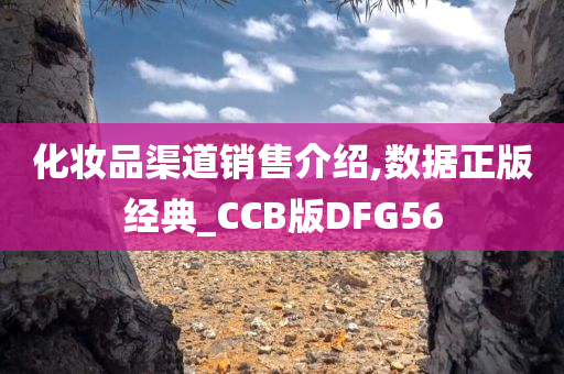 化妆品渠道销售介绍,数据正版经典_CCB版DFG56