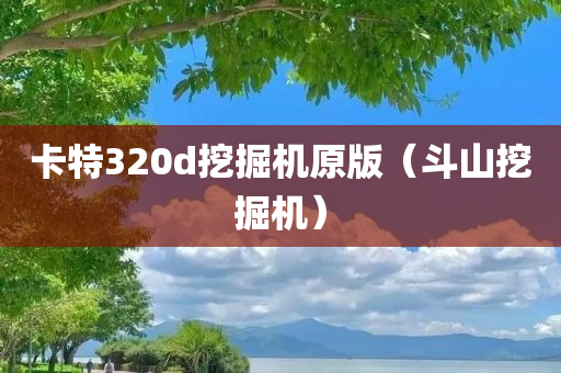 卡特320d挖掘机原版（斗山挖掘机）