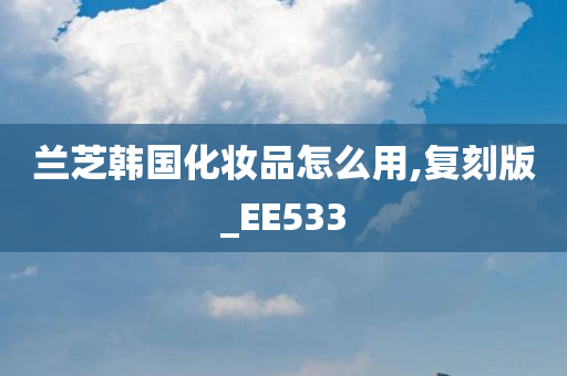 兰芝韩国化妆品怎么用,复刻版_EE533