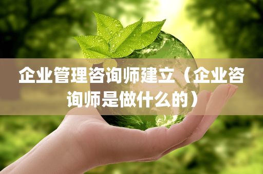 企业管理咨询师建立（企业咨询师是做什么的）