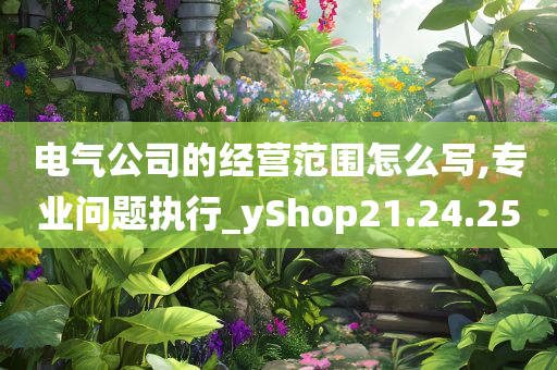 电气公司的经营范围怎么写,专业问题执行_yShop21.24.25