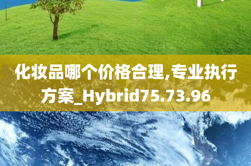 化妆品哪个价格合理,专业执行方案_Hybrid75.73.96