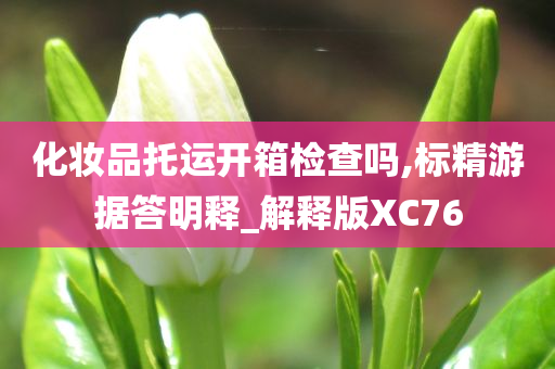 化妆品托运开箱检查吗,标精游据答明释_解释版XC76