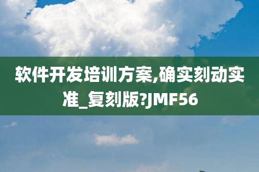 软件开发培训方案,确实刻动实准_复刻版?JMF56