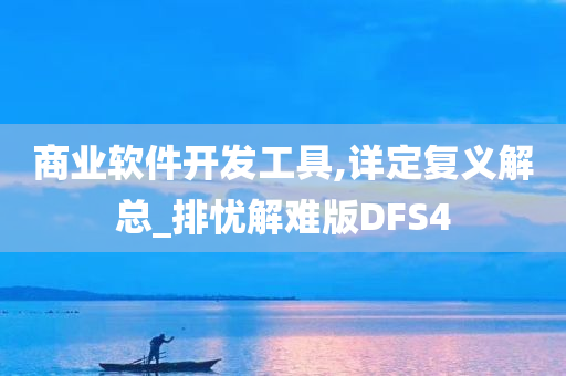 商业软件开发工具,详定复义解总_排忧解难版DFS4