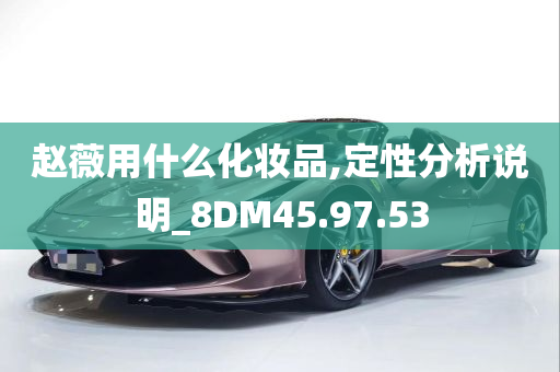 赵薇用什么化妆品,定性分析说明_8DM45.97.53