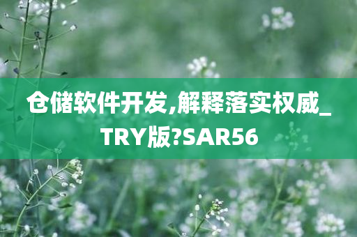 仓储软件开发,解释落实权威_TRY版?SAR56