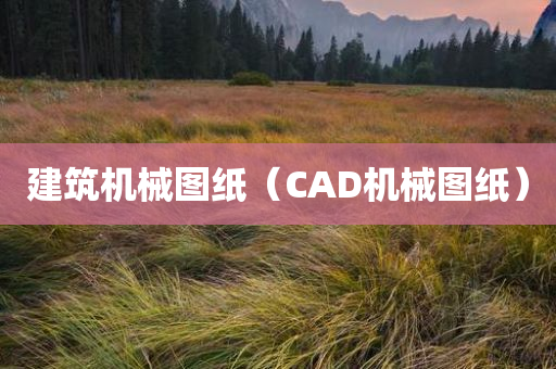 建筑机械图纸（CAD机械图纸）