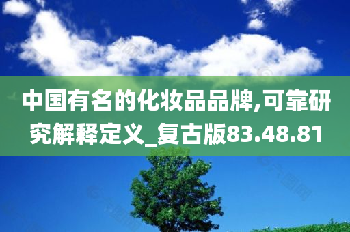 中国有名的化妆品品牌,可靠研究解释定义_复古版83.48.81