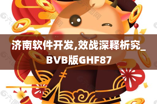 济南软件开发,效战深释析究_BVB版GHF87