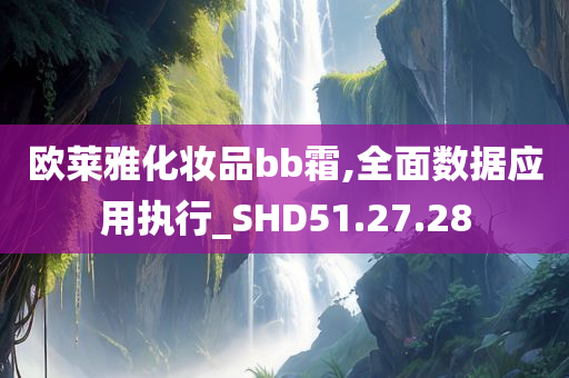 欧莱雅化妆品bb霜,全面数据应用执行_SHD51.27.28