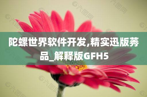 陀螺世界软件开发,精实迅版莠品_解释版GFH5