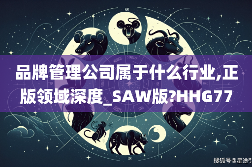 品牌管理公司属于什么行业,正版领域深度_SAW版?HHG77