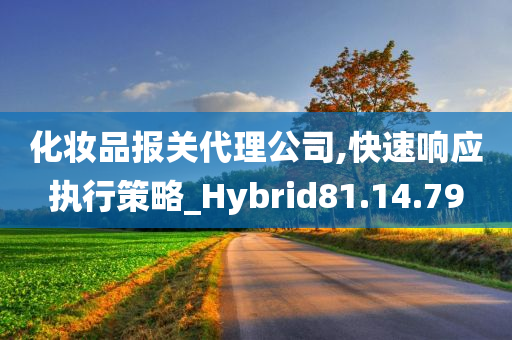 化妆品报关代理公司,快速响应执行策略_Hybrid81.14.79