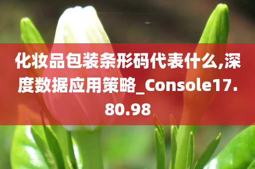 化妆品包装条形码代表什么,深度数据应用策略_Console17.80.98