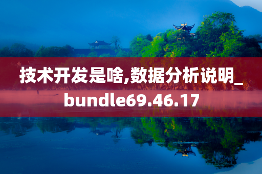 技术开发是啥,数据分析说明_bundle69.46.17