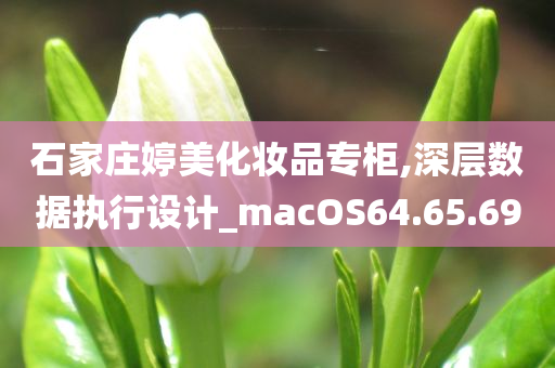 石家庄婷美化妆品专柜,深层数据执行设计_macOS64.65.69