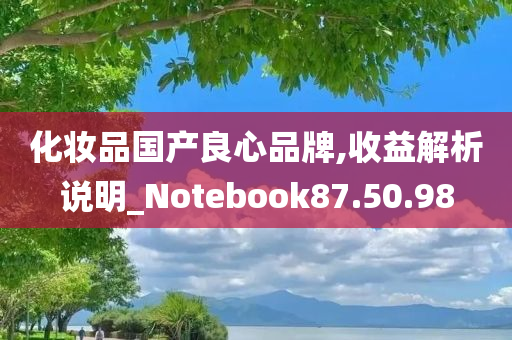 化妆品国产良心品牌,收益解析说明_Notebook87.50.98