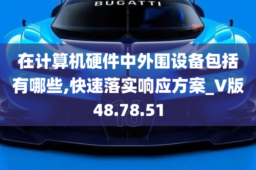 在计算机硬件中外围设备包括有哪些,快速落实响应方案_V版48.78.51