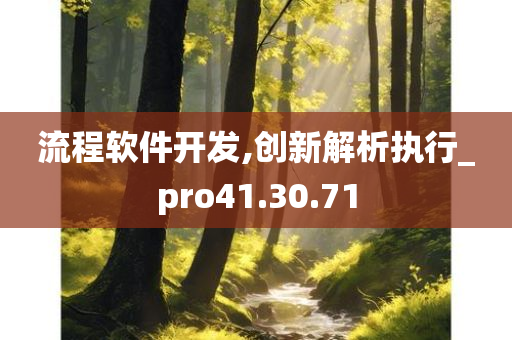 流程软件开发,创新解析执行_pro41.30.71