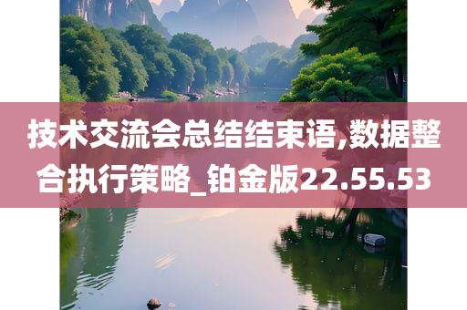 技术交流会总结结束语,数据整合执行策略_铂金版22.55.53