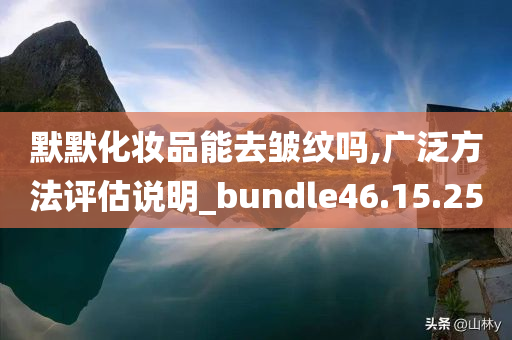 默默化妆品能去皱纹吗,广泛方法评估说明_bundle46.15.25