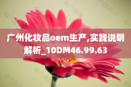 广州化妆品oem生产,实践说明解析_10DM46.99.63