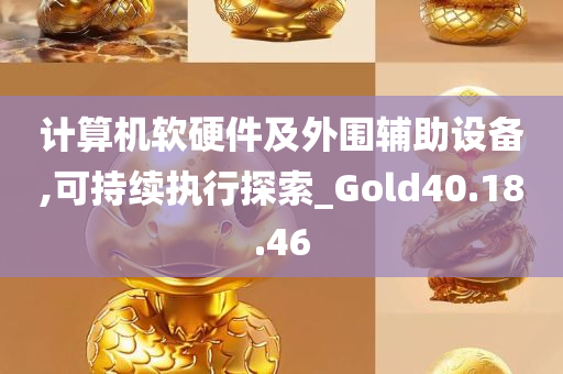 计算机软硬件及外围辅助设备,可持续执行探索_Gold40.18.46