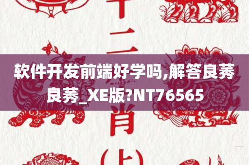 软件开发前端好学吗,解答良莠良莠_XE版?NT76565