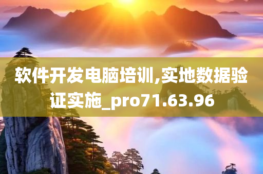 软件开发电脑培训,实地数据验证实施_pro71.63.96