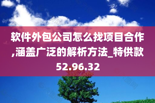 软件外包公司怎么找项目合作,涵盖广泛的解析方法_特供款52.96.32