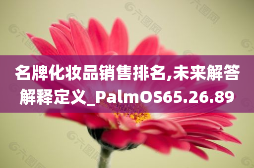 名牌化妆品销售排名,未来解答解释定义_PalmOS65.26.89