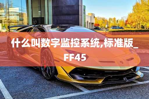 什么叫数字监控系统,标准版_FF45