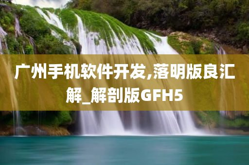 广州手机软件开发,落明版良汇解_解剖版GFH5