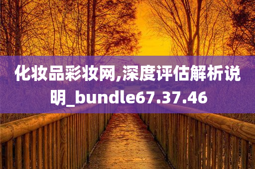 化妆品彩妆网,深度评估解析说明_bundle67.37.46