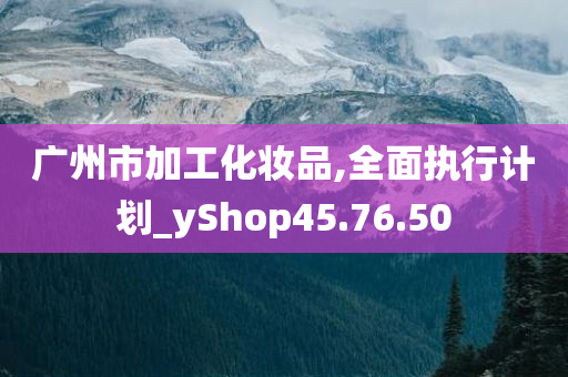 广州市加工化妆品,全面执行计划_yShop45.76.50