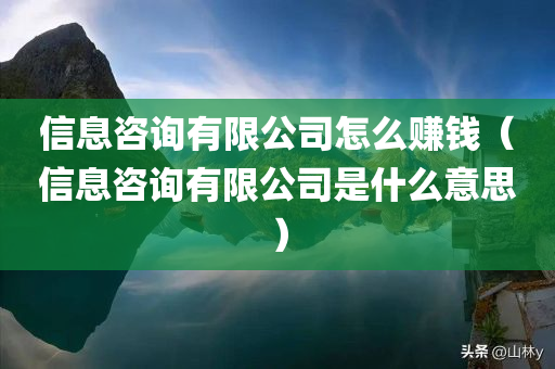 信息咨询有限公司怎么赚钱（信息咨询有限公司是什么意思）