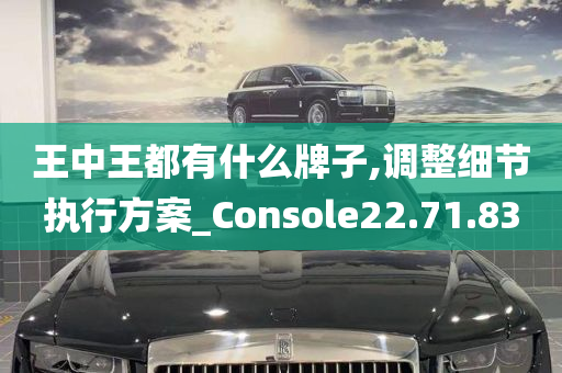 王中王都有什么牌子,调整细节执行方案_Console22.71.83