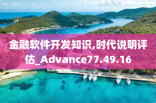 金融软件开发知识,时代说明评估_Advance77.49.16