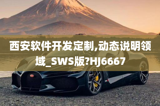 西安软件开发定制,动态说明领域_SWS版?HJ6667