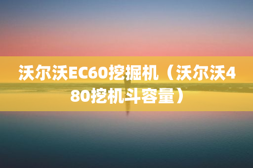 沃尔沃EC60挖掘机（沃尔沃480挖机斗容量）