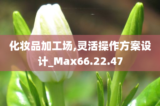 化妆品加工场,灵活操作方案设计_Max66.22.47