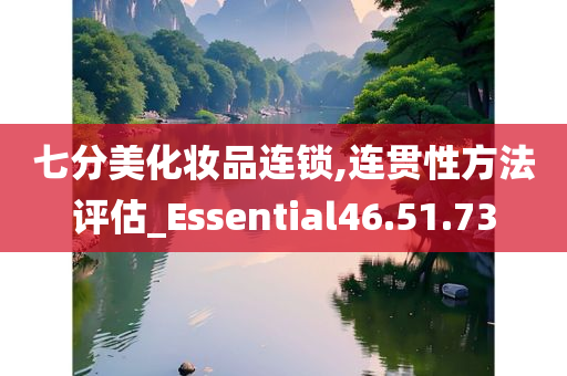 七分美化妆品连锁,连贯性方法评估_Essential46.51.73