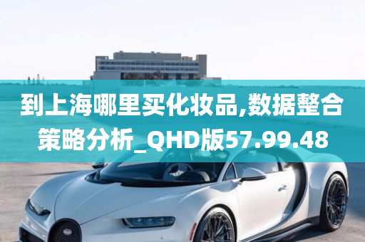 到上海哪里买化妆品,数据整合策略分析_QHD版57.99.48