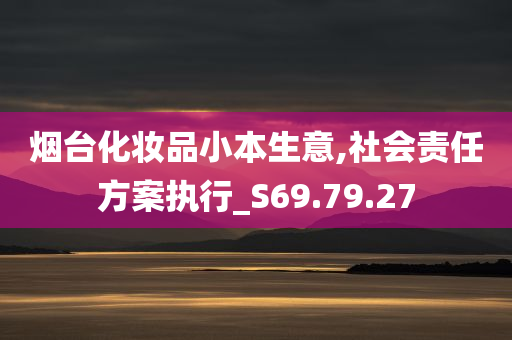 烟台化妆品小本生意,社会责任方案执行_S69.79.27