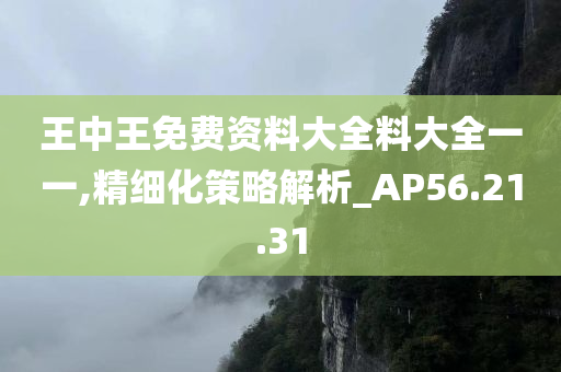 王中王免费资料大全料大全一一,精细化策略解析_AP56.21.31